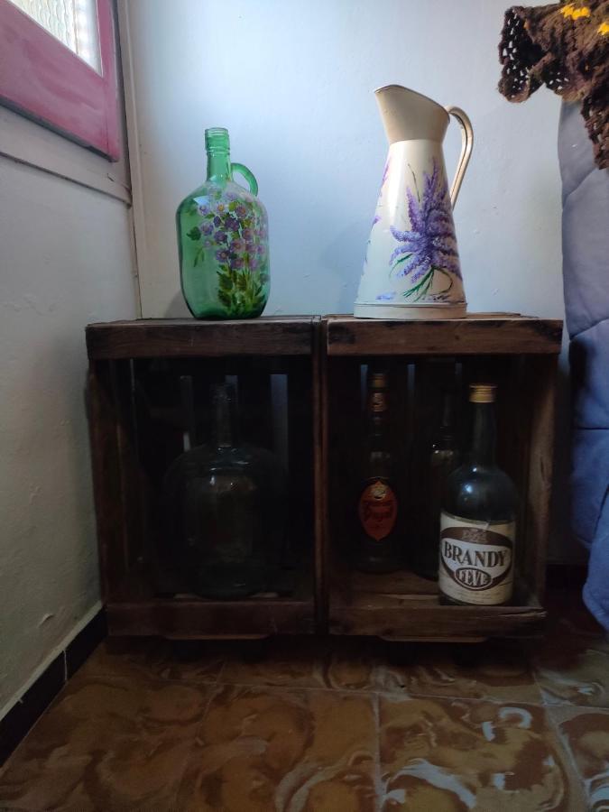 Apartament Volca Aiguanegra Sant Joan les Fonts Zewnętrze zdjęcie